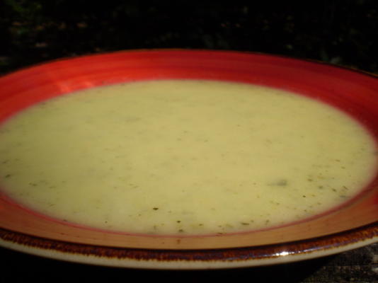 sopa de calabacin y guajolote (sopa de abobrinha e peru)