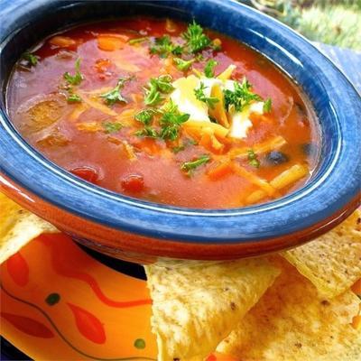 sopa de tomate picante rápido