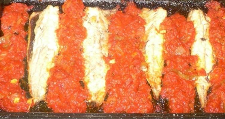 cavala picante com chiles e tomate