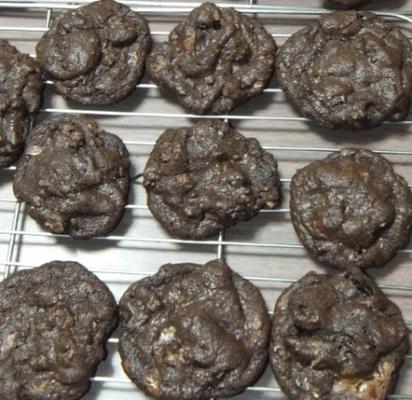 biscoitos de chocolate duplo cereja