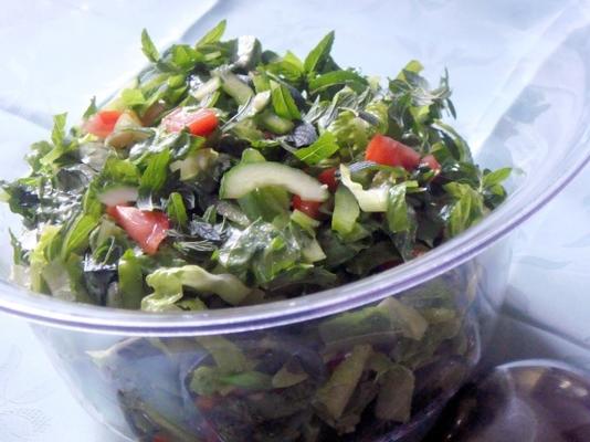 tomate, pepino e pimenta verde salada picada