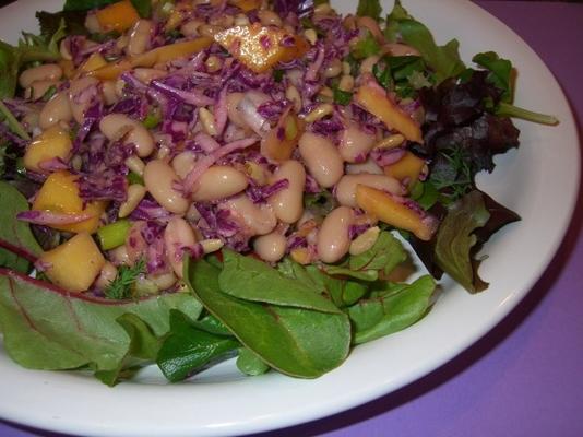 salada de manga e pinhão