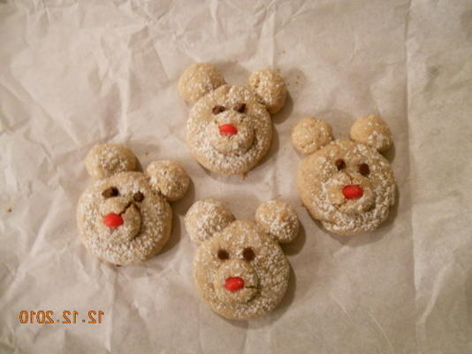 ursos polares canela