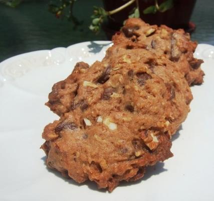 biscoitos de amendoim de chocolate duplo com aveia