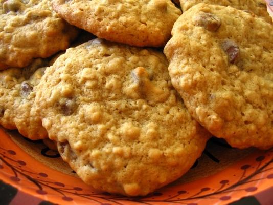 bolinhos de chocolate com gotas de shelly