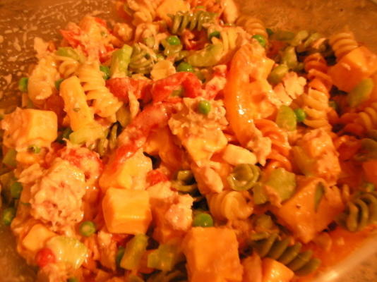 atum, queijo e salada de macarrão