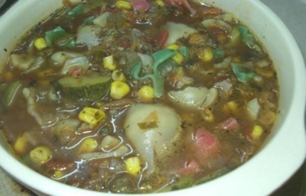 sopa de legumes e pequenas conchas
