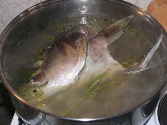 peixe cozido croata (e sopa)