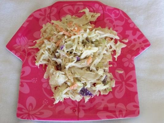 salada de repolho vegan saudável