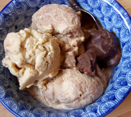 ann's sorvete de chocolate de amêndoa livre de leiteria