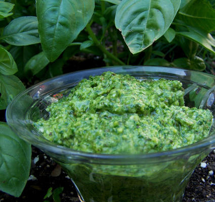 pesto de manjericão de rúcula