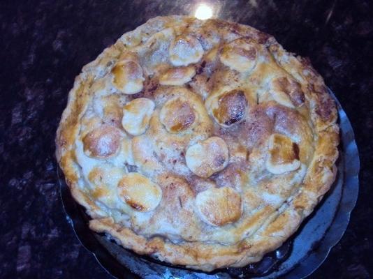 patê de martha stewart - crosta de torta básica
