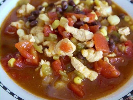 sopa de galinha mexicana especial