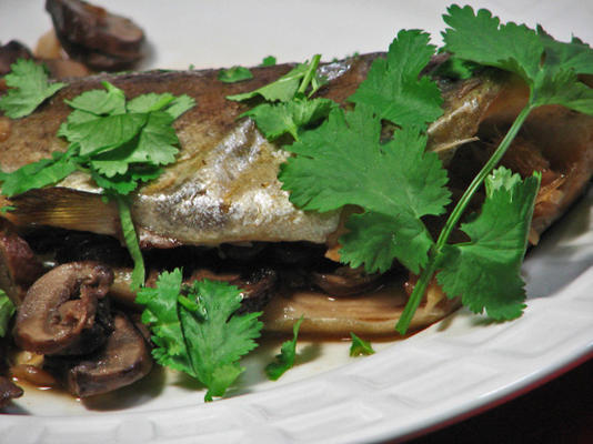truta ao forno com gengibre