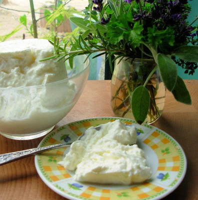 queijo iogurte (labna)