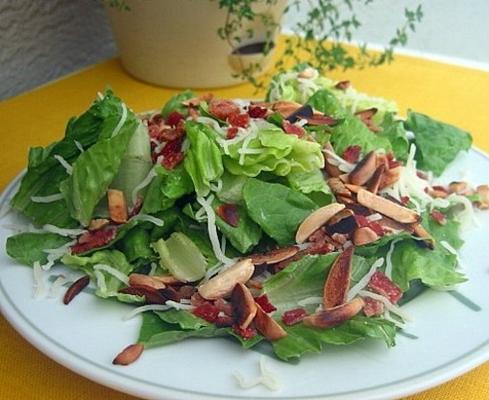 bacon suíço jogou salada