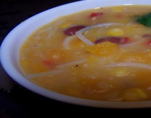sopa de legumes e macarrão (glúten, laticínios e sem ovos)