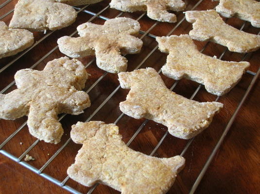biscoitos de cachorro menino amigo
