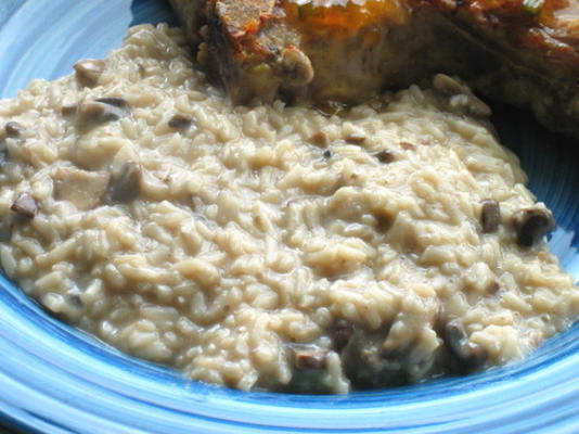 Creme e arroz cremoso com baixo teor de gordura