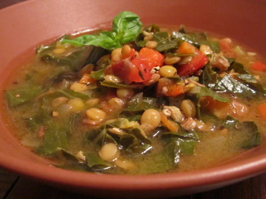 dia de colza e sopa de lentilhas