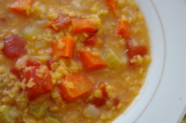 ww lentil soup vincent