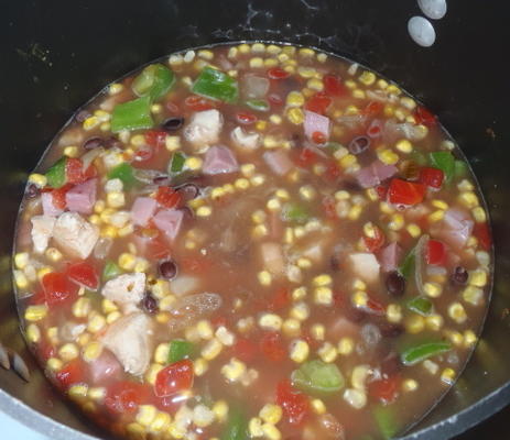 sopa de frango e feijão preto