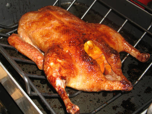 pato inteiro cuspicado