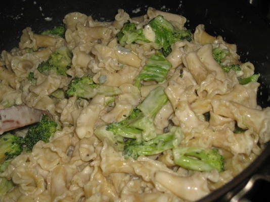 conchas de massa com molho de queijo gorgonzola