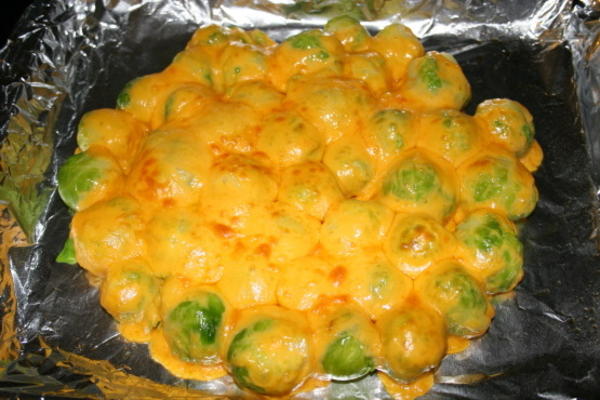 couve de bruxelas, com queijo