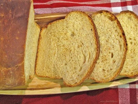 pão integral com gengibre e castanha de caju para abm