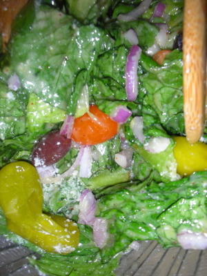 salada italiana rápida com um molho cremoso (mulher pioneira)