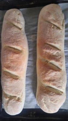 melhor pão francês