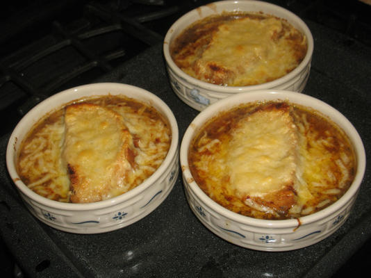 cebola francesa e sopa de cogumelos silvestres