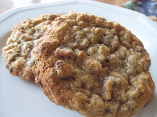 biscoitos de bordo de aveia
