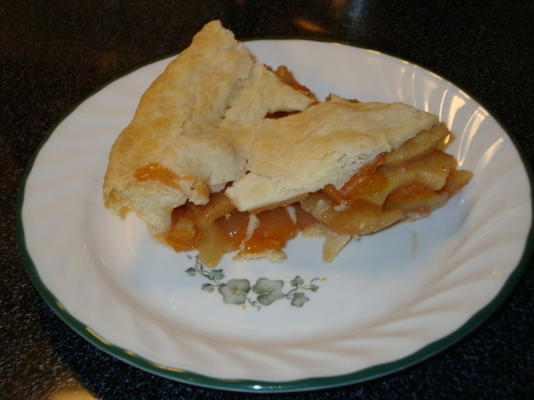 torta de maçã-damasco