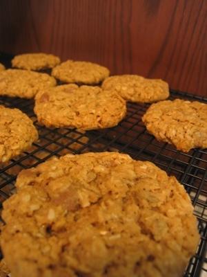 biscoitos de cevada de aveia (sem trigo)
