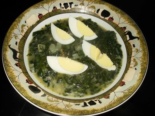sopa de espinafre norueguesa