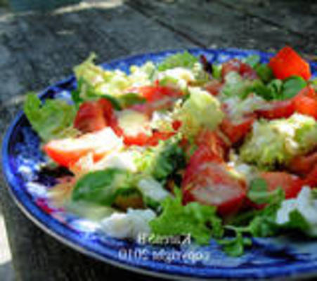 salada de mussarela com molho de ervas verdes