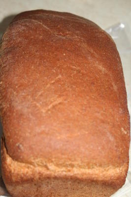 pão de trigo integral básico 100%