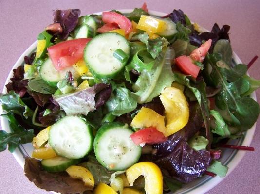 apenas sua salada média de vegetais