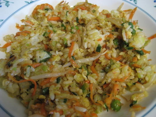 arroz integral frito vegetal
