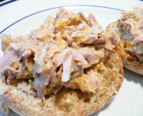 queijo de atum derreter