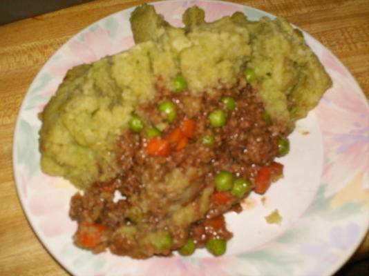 torta de pastor alimentado com vegan, baixa carb e baixo teor de gordura