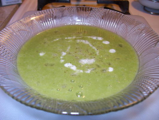 sopa de brócolis e alho-poró com croutons (baixo teor de gordura)