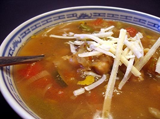 incrível sopa de legumes (dieta sul da praia)