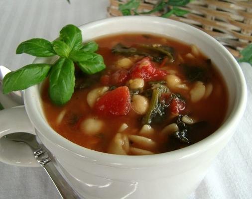 sopa de grão de bico, espinafre e massa