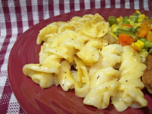 macarrão com queijo e campbell