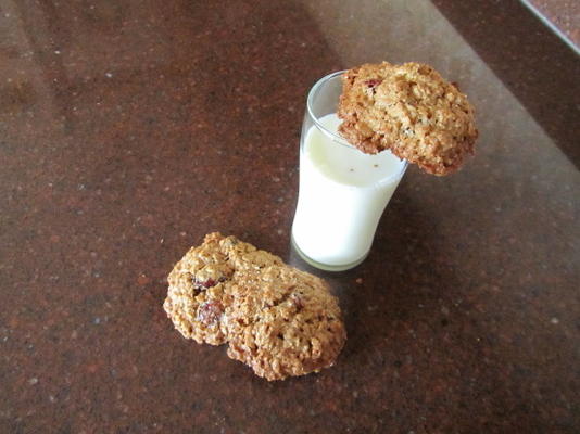 biscoitos de aveia sem farinha