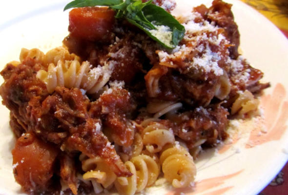 carne de porco assada com berinjela e cenoura ragu