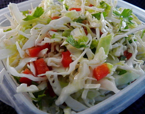 salada de repolho coentro e jalapeno
